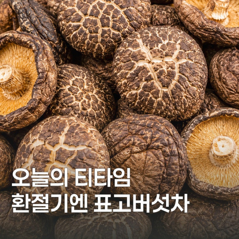 면역에 좋은 표고버섯차 효능 6가지와 끓이는 법