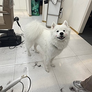 김해삼계동 미용실추천 “데스틴헤어” 레이어드씨컬펌