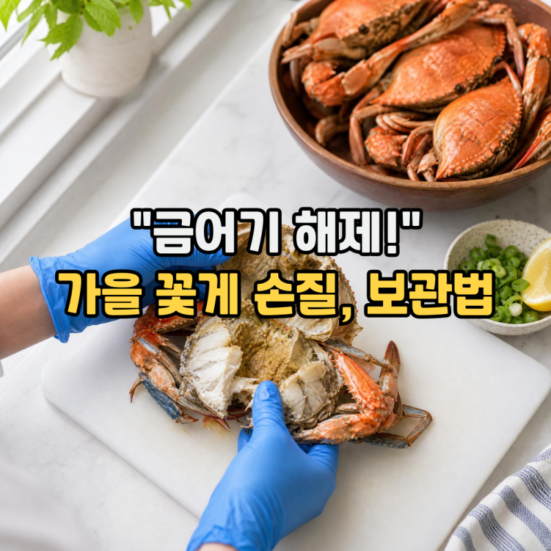 8월 21일 금어기 해제! 가을 꽃게 손질 방법부터 보관법까지 (f.고르는 법)