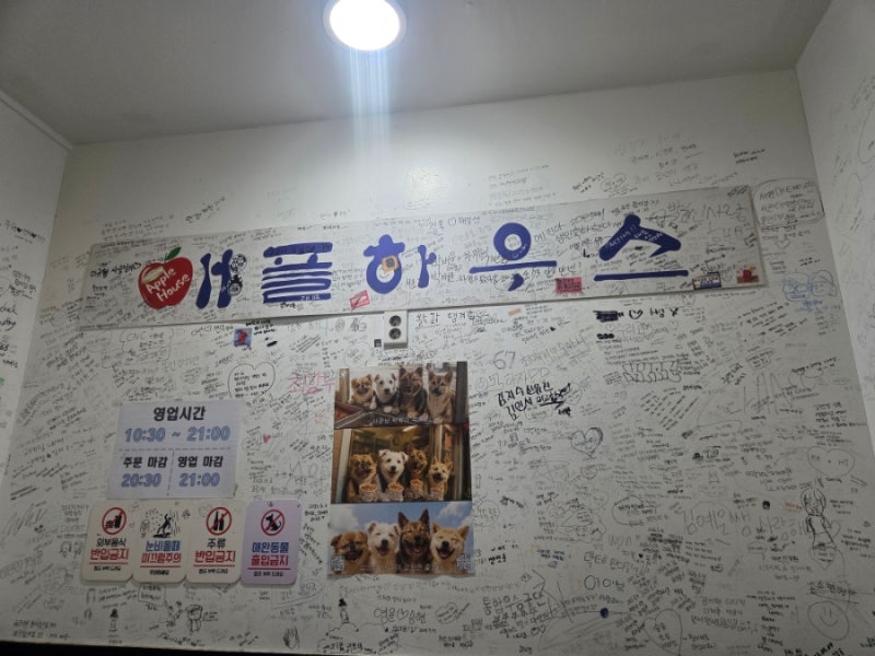 애플하우스 무침 군만두는 추억과 중독이야...