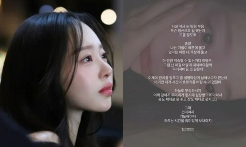 이솔이 "이별은 익숙할 수 없다" 눈물의 진짜 의미…두 마리 심장병, 하늘이 정말 무심한 걸....