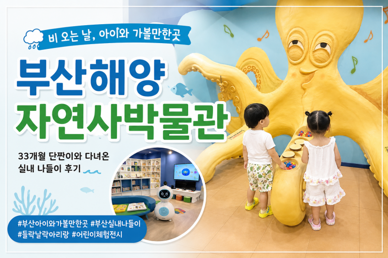 부산 아이와 가볼만한곳 부산해양자연사박물관, 33개월 아이와 다녀온 실내 나들이