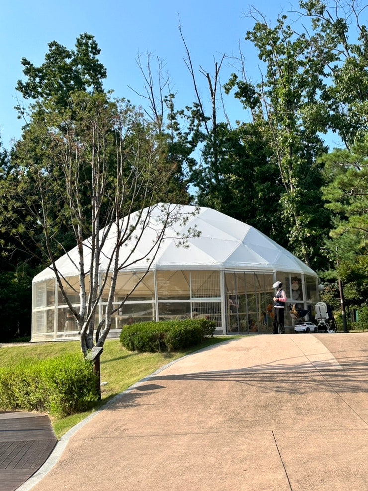 서울 서대문구 아이랑 가볼만한곳 홍제동 신기한놀이터 냉난방 에어돔 설치 무료 모래놀이....