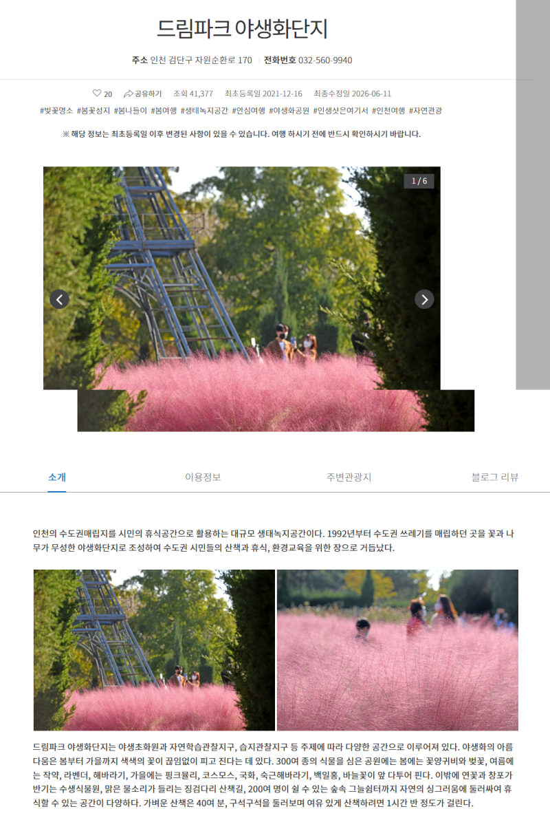 서울근교 가을 꽃축제 어디가 좋을까? 2026 꼭 가봐야 할 꽃명소 BEST 6 (경기북부지역)