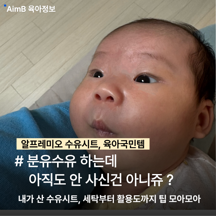 “이걸 왜 이제 샀지?” 신생아 알프레미오 수유시트 내돈내산 후기 ( 수유시트 다른 활용법 ....