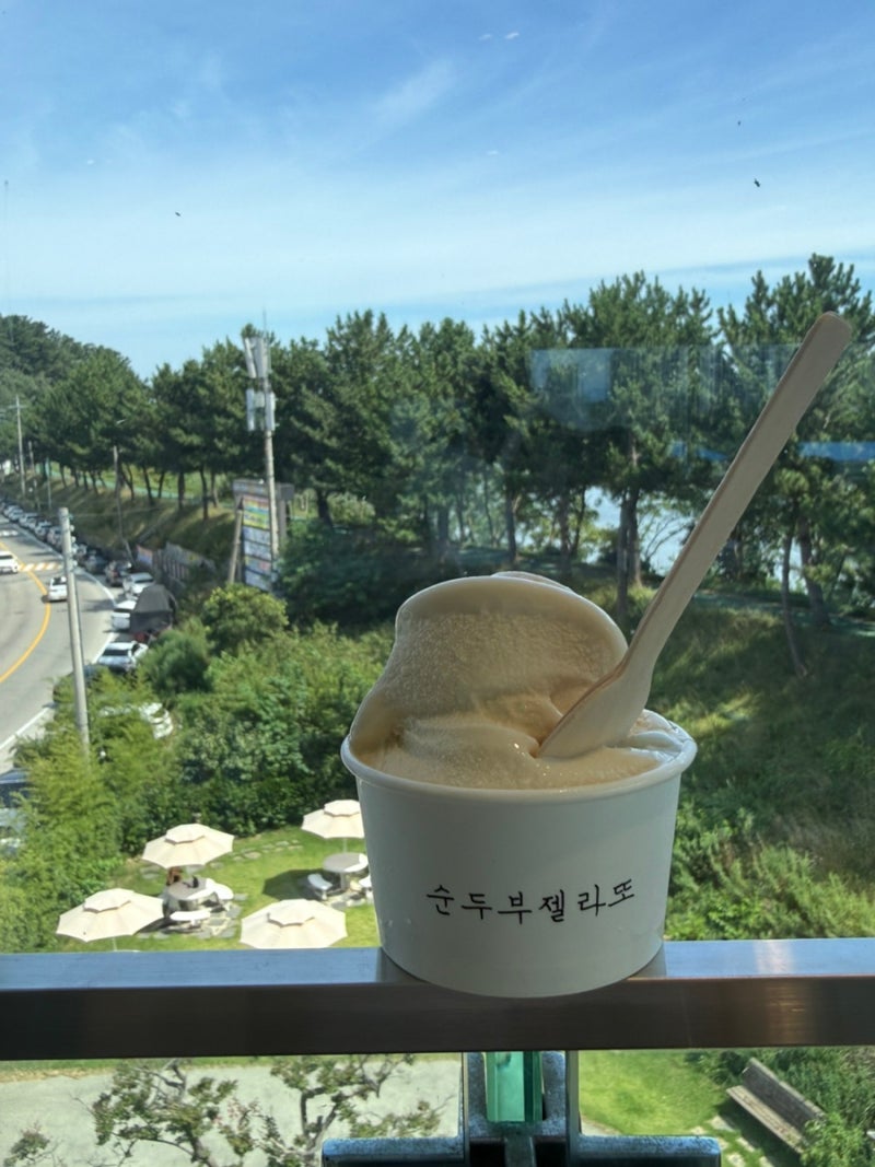 강릉 안목해변 카페 애견동반 가능 순두부젤라또 2호점 주차