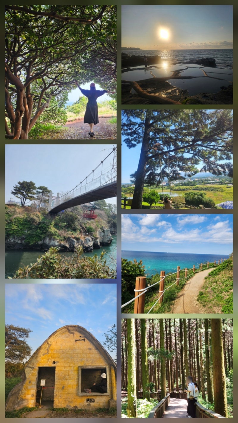 BEST 8 Free Attractions in Jeju for August and September | Great Places for a Walk as the Heat Subsides