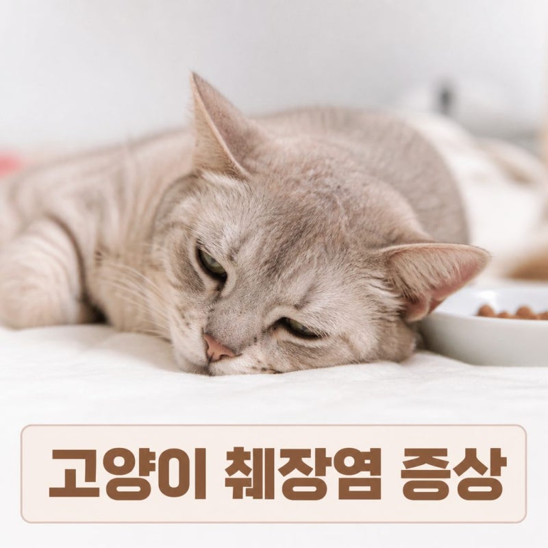 치명적인 고양이 급성 췌장염 증상! 이 신호 절대 놓치지 마세요