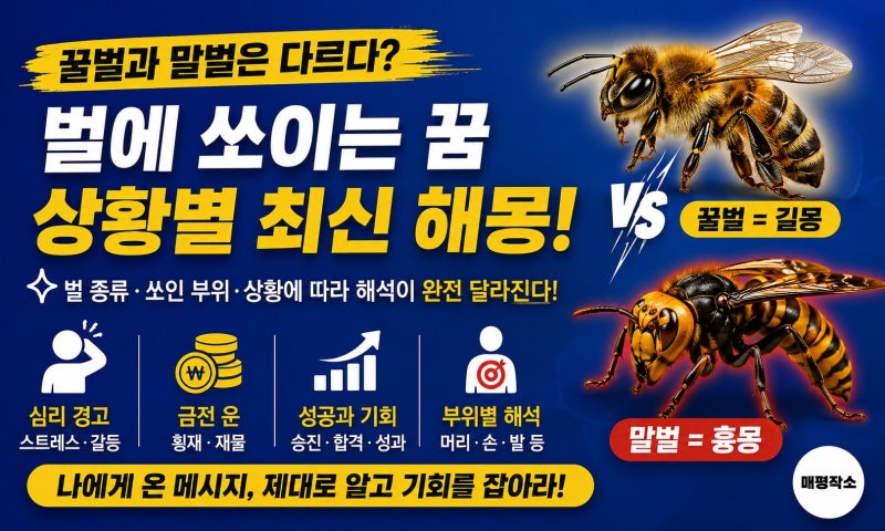 벌에 쏘이는 꿈, 꿀벌과 말벌은 다르다, 상황별 최신 해몽