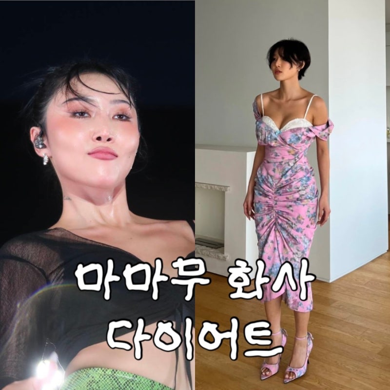 "닭가슴살 안 먹고 이걸 먹는다고?" 화사 연예인 다이어트 160cm 핫보디 비결과 18만원 식단