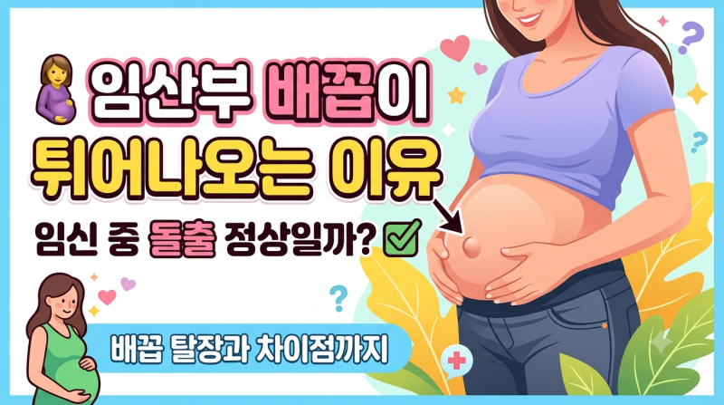 임산부 배꼽이 튀어나오는 이유｜임신 중 배꼽 돌출 정상일까? 배꼽 탈장과 차이점까지