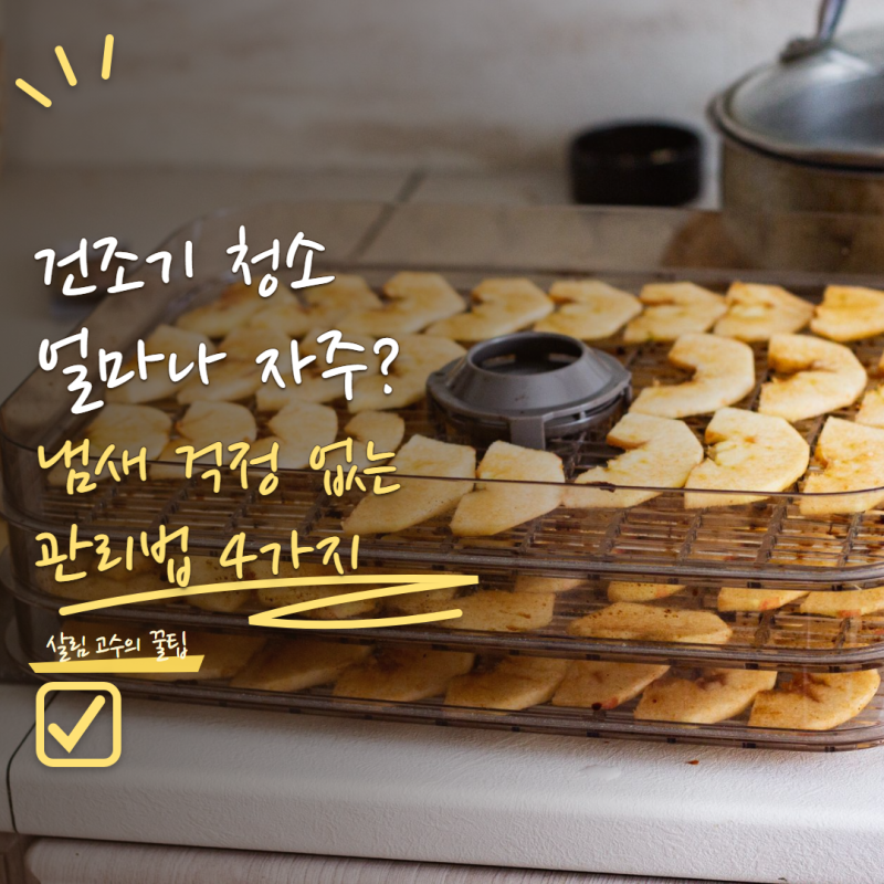 식품건조기 청소 얼마나 자주 해야 할까? 냄새 배기 전 관리하는 방법 4가지