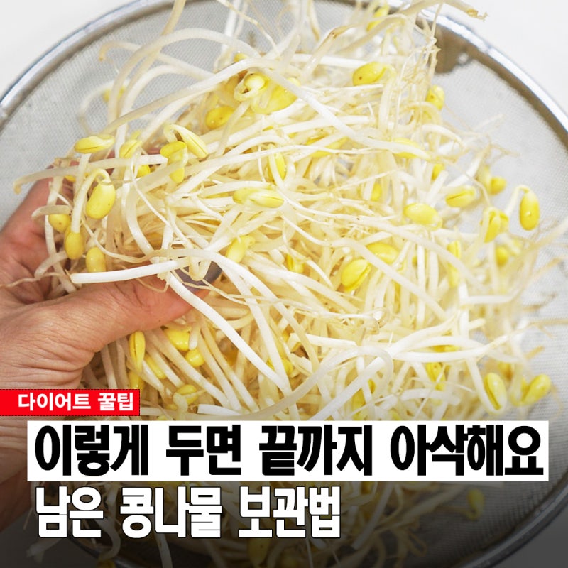 봉지째 둘까, 물에 담가둘까? 아삭함 오래가는 남은 콩나물 보관법