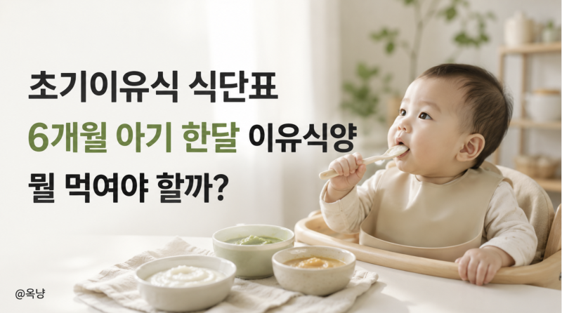 초기이유식 식단표 6개월 아기 한달 이유식양 뭘 먹여야 할까