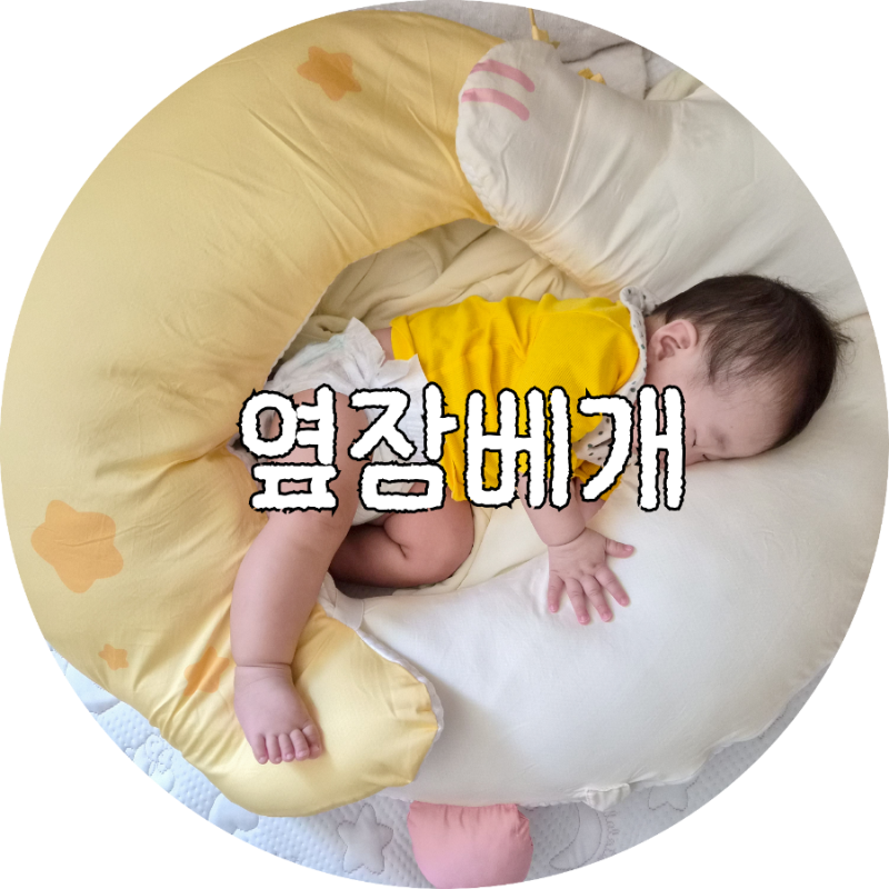 밀로앤개비 옆잠베개
