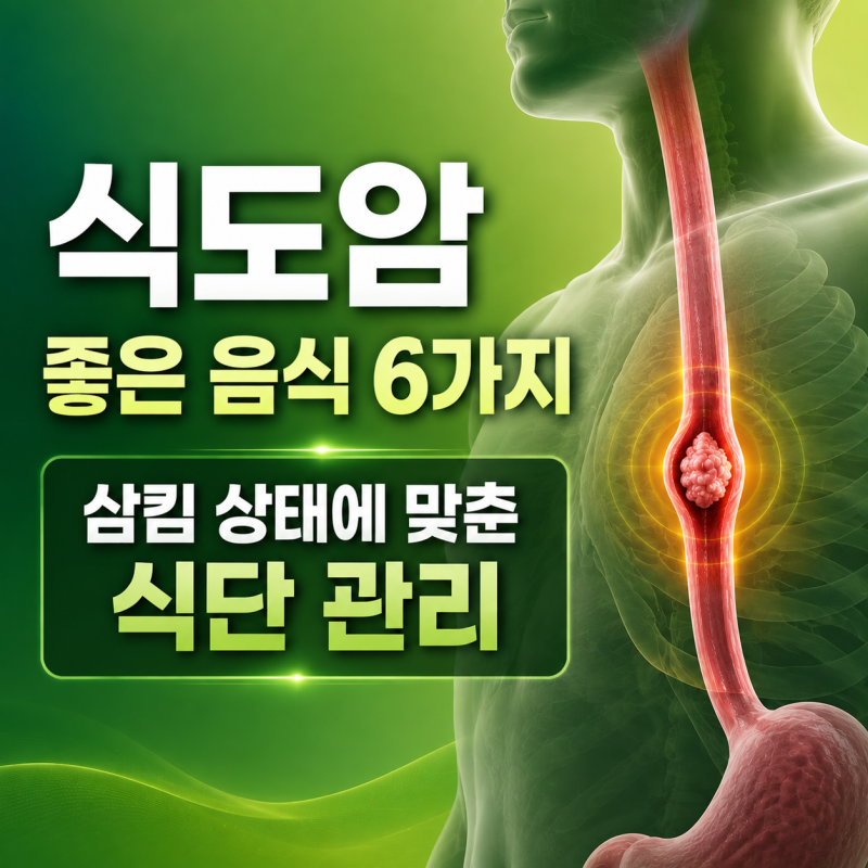 식도암에 좋은 음식 6가지, 삼킴 상태에 맞춘 식단 관리