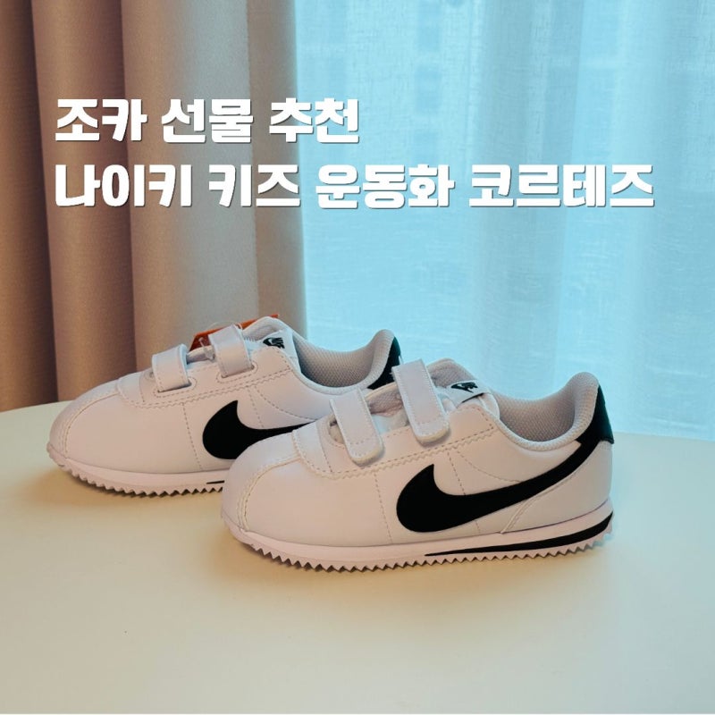 조카 선물 추천 4살 5살 남아 나이키 운동화 키즈 코르테즈