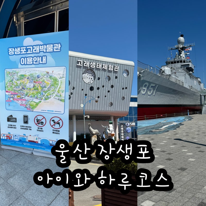 울산 아이와 가볼만한곳 장생포 고래 박물관 고래생태체험관 울산함 후기