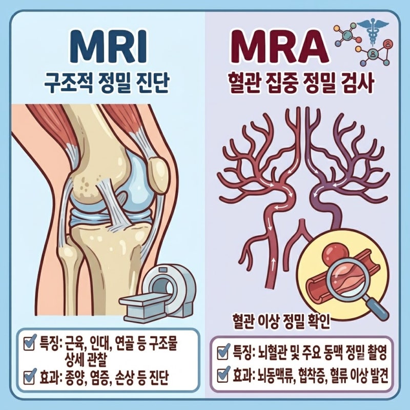 이름은 비슷한데 뭐가 다를까? 'MRI vs MRA' 차이점, 검사 목적, 비용·추천 대상 총정리