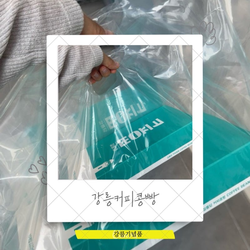 강릉역 주변 기념품 추천 강릉커피콩빵 먹거리 선물 후기