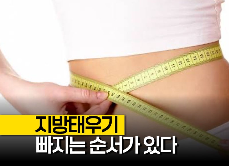 지방태우기 "빠지는 순서가 있다" 내장지방빼는운동 먼저, 피하지방 체지방 빼는법