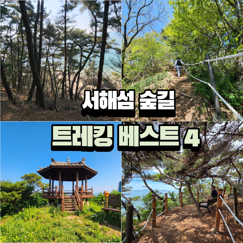 서해섬 숲길 트레킹하기 좋은 곳 베스트 4