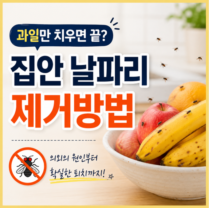 과일 치웠는데 왜 나올까? 집안 날파리 생기는 원인과 제거방법