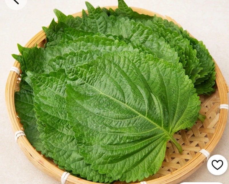 깻잎 페스토(소스).바질 페스토와 주재료만 바꾸면 됩니다