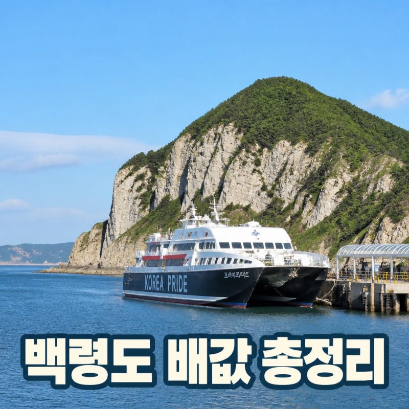 백령도 배값 2026년 최신 여객선 요금 시간표 i-바다패스 할인 팁