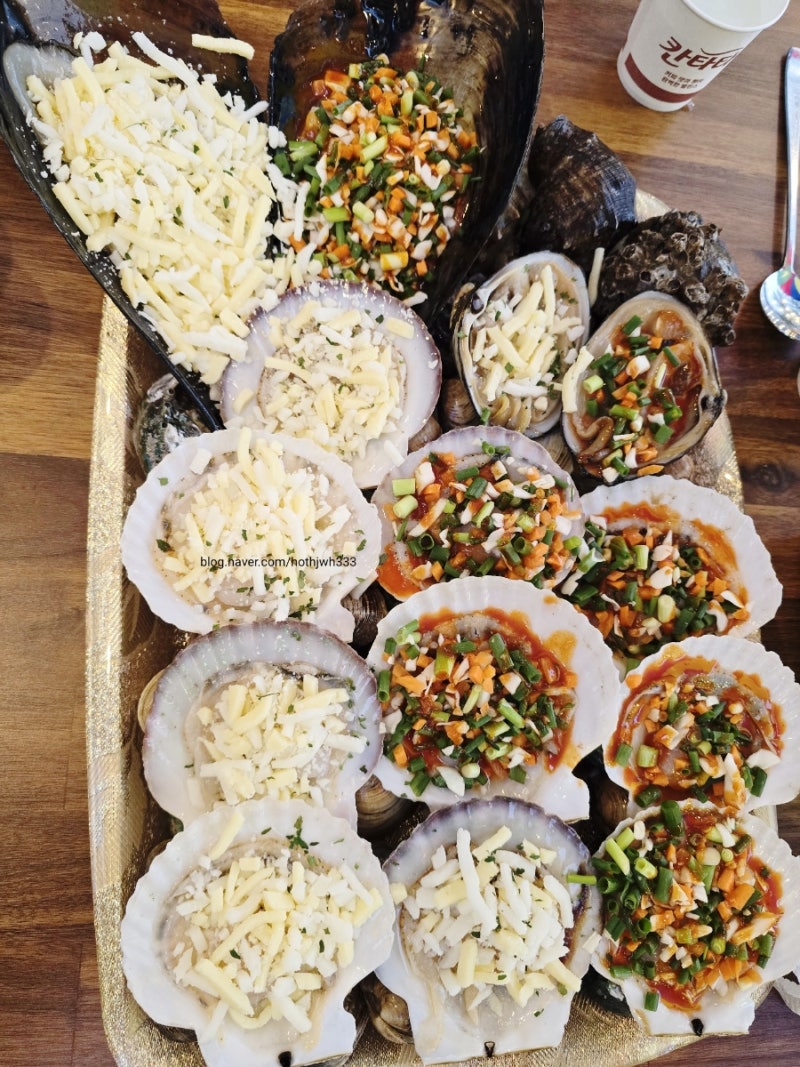 태안 신두리해수욕장 맛집 신두리식당 - 칼국수·파전부터 조개구이까지 솔직 후기