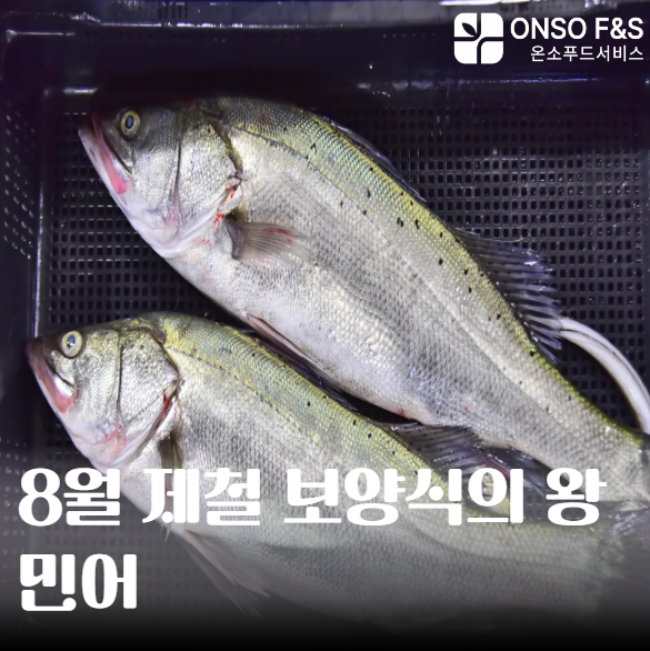 [8월 제철 음식] 여름 기력 회복엔 민어가 답! 효능부터 싱싱 보관법까지