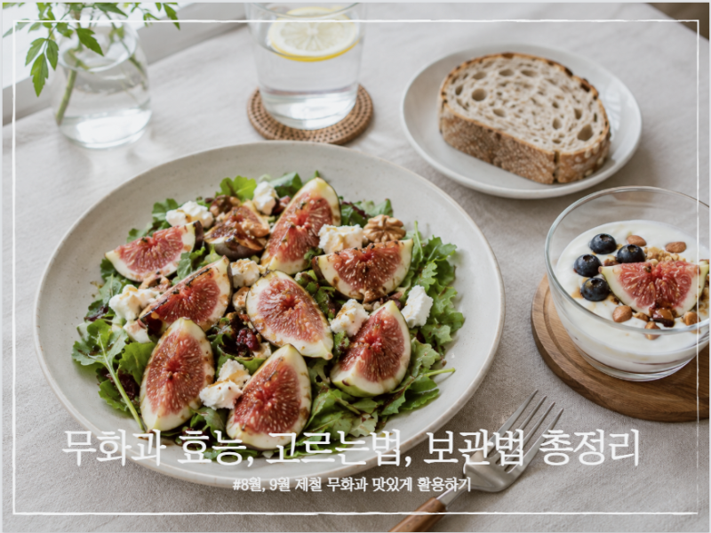 무화과 효능 고르는법 보관법 총정리, 8월 9월 제철 과일 제대로 먹기