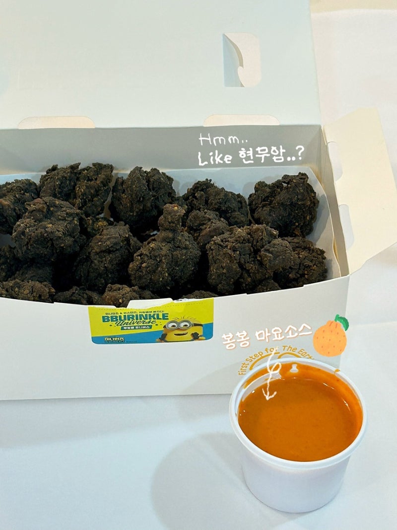 BHC 제주 한정메뉴 | 비주얼 Like 현무암..? 동글락바삭치킨 내돈내산 솔직 후기!