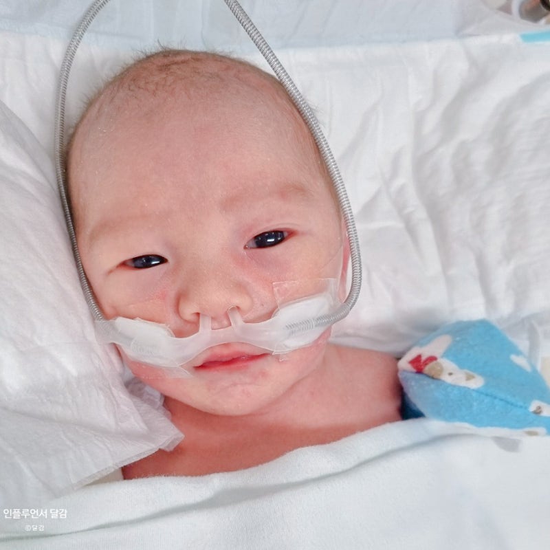 미숙아 병원비 2400만원, 이른둥이 미숙아 기준 의료비 지원은?