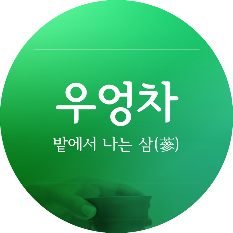 밭에서 나는 삼(蔘)