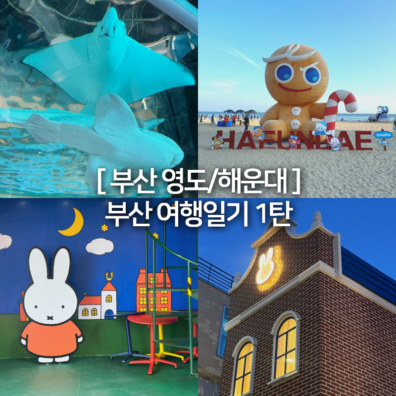 [부산 영도/해운대] 부산여행 1일차 여행코스 추천