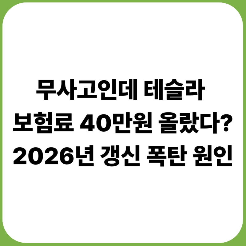 무사고인데 테슬라 보험료 40만원 올랐다? 2026년 갱신 폭탄 원인