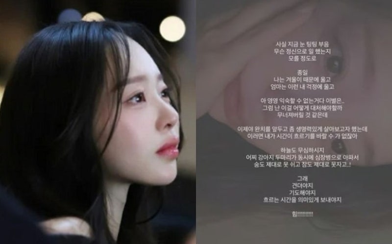 이솔이 눈물의 진짜 의미…반려견 2마리 동시 심장병, 겹친 암 완치 타임라인