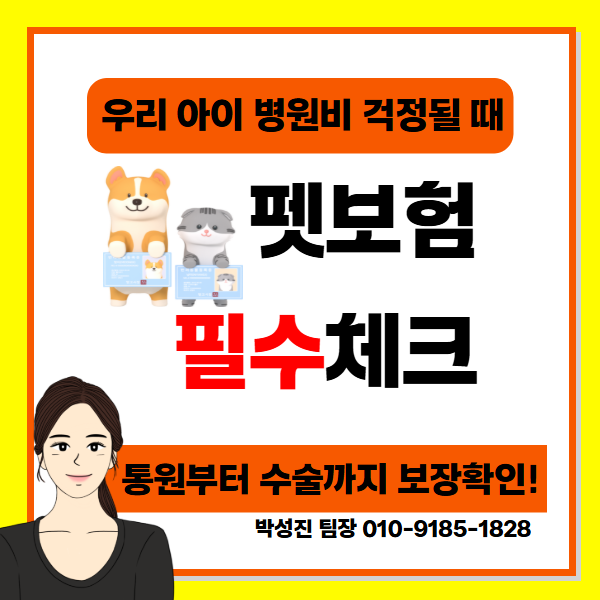 강아지 펫보험 병원비 얼마나 보장될까? 통원 입원 수술비 알아보기