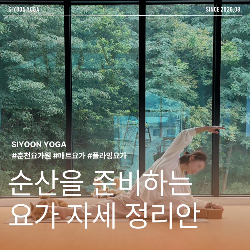 춘천 임산부 요가｜순산을 준비하는 요가 자세 정리안