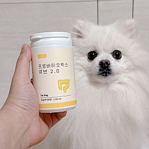 강아지 유산균 추천하는 이유와 애견 장 건강 케어