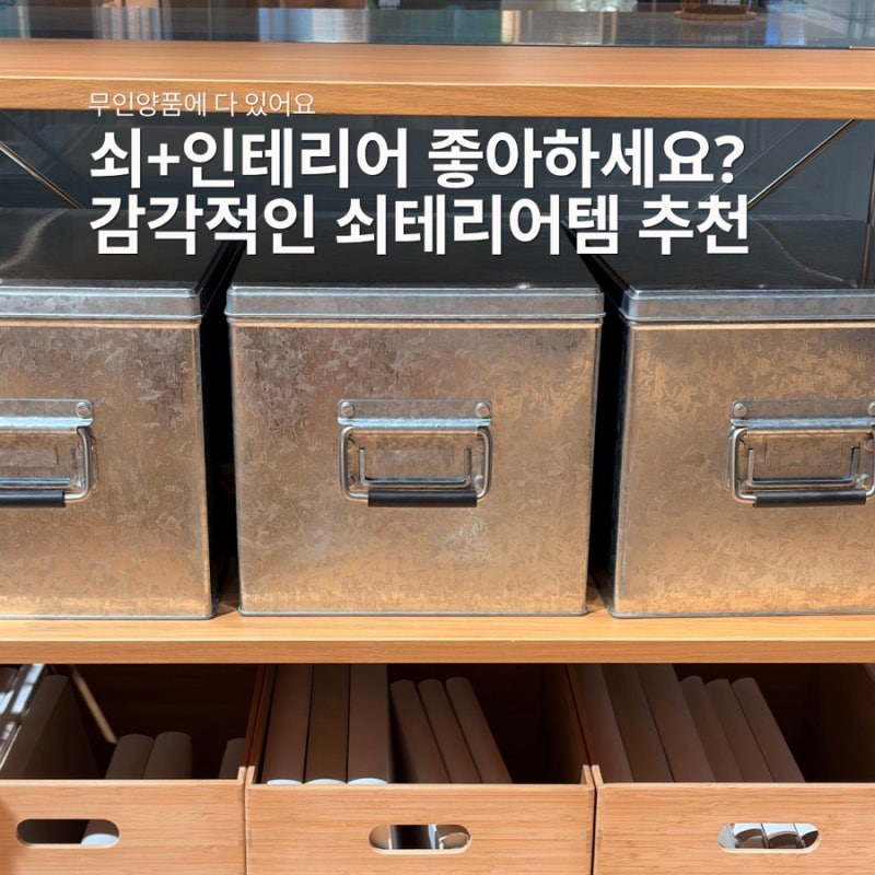 이게 바로 쇠맛! 쇠테리어 가능 무인양품 수납함 3가지