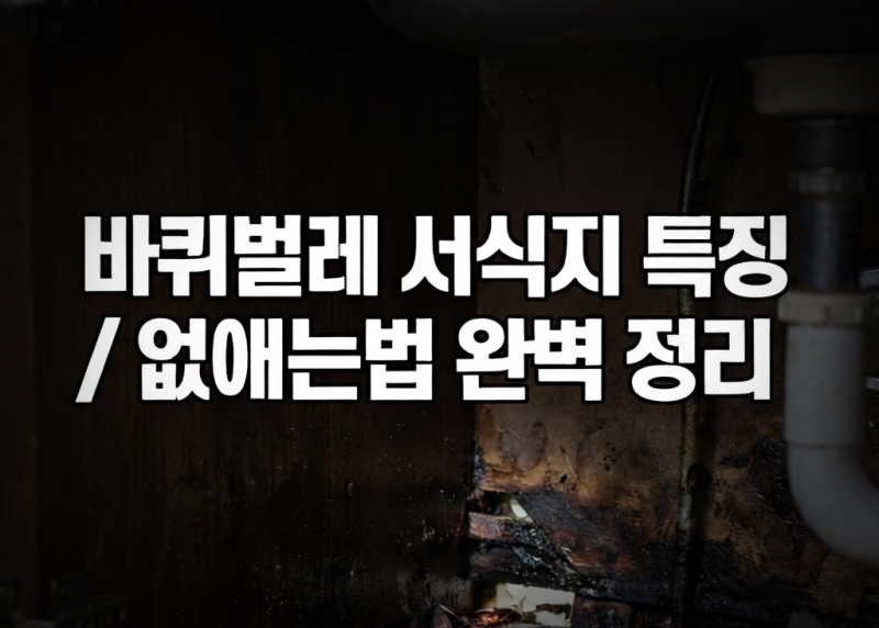 바퀴벌레 서식지 특징 / 없애는법 완벽 정리