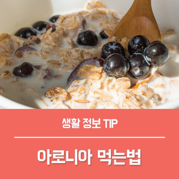 아로니아 효능 4가지, 아로니아 먹는법 떫은맛 줄이기!