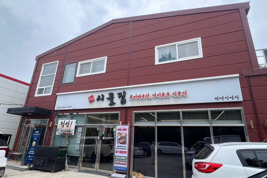 리본 사진 3
