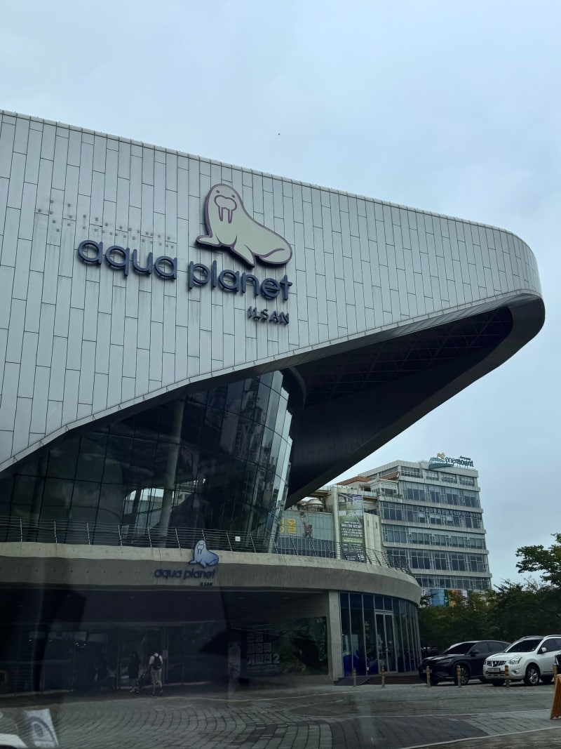 [일산] 아쿠아플라넷 일산 후기｜국내 최초 벌꿀오소리부터 볼거리 총정리
