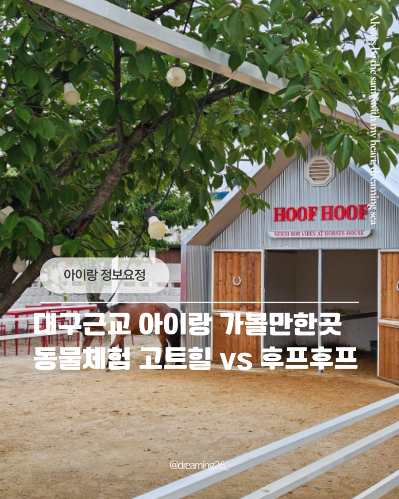 대구 근교 아이랑 갈만한 곳 BEST 2: 청도 동물 체험 고트힐 & 경주 후프후프 위치 이용 꿀팁