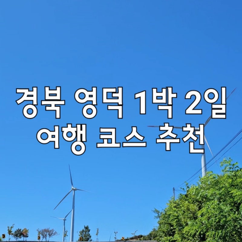 영덕 1박 2일 코스 총정리 :: 영덕 맛집, 영덕 카페, 영덕 가볼 만한 곳