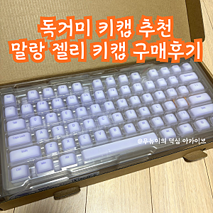 독거미 키캡 추천｜말랑 젤리 키캡 실리콘으로 키보드 교체 후기