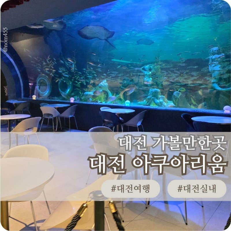 대전 아쿠아리움 신세계 아이와 회전목마 체험 총정리